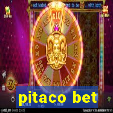 pitaco bet