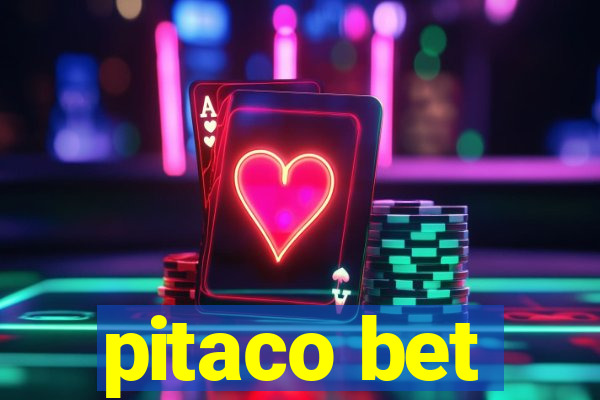 pitaco bet