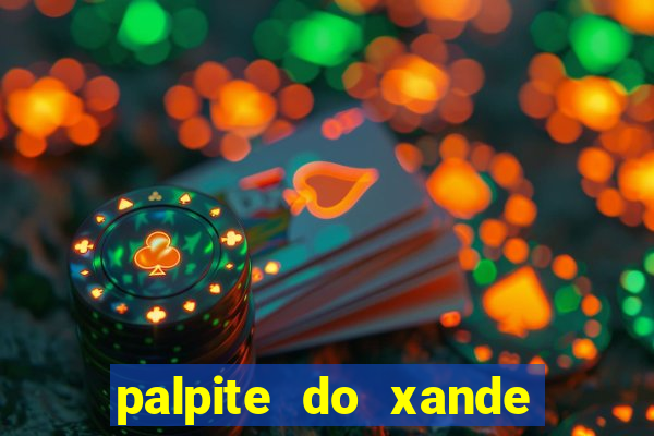 palpite do xande de hoje