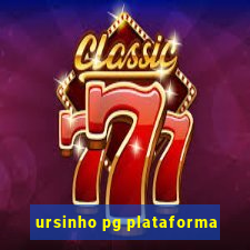 ursinho pg plataforma