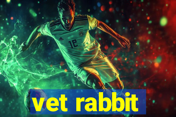 vet rabbit