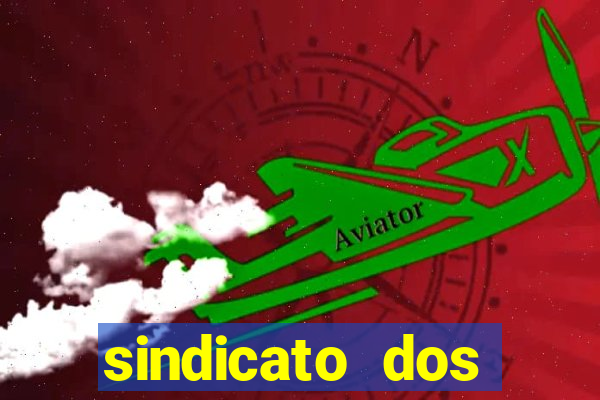sindicato dos vigilantes bauru