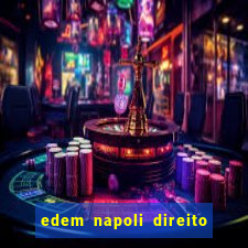 edem napoli direito constitucional pdf