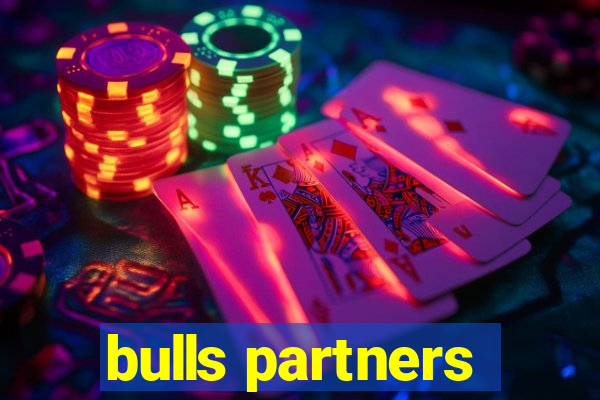 bulls partners