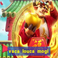 vaca louca mogi das cruzes