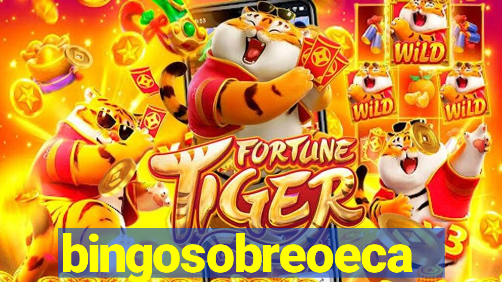 bingosobreoeca