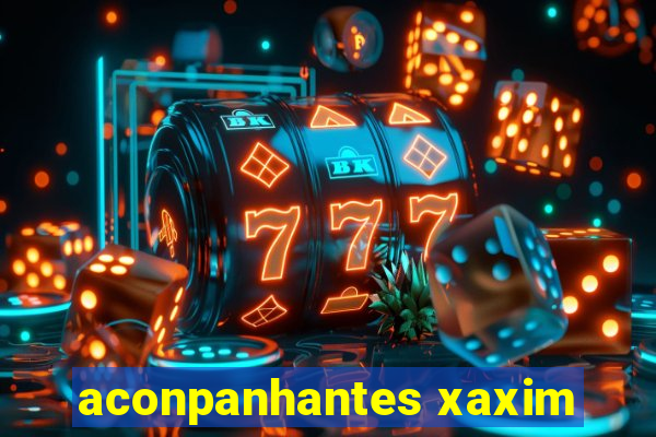aconpanhantes xaxim