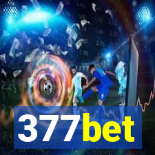 377bet