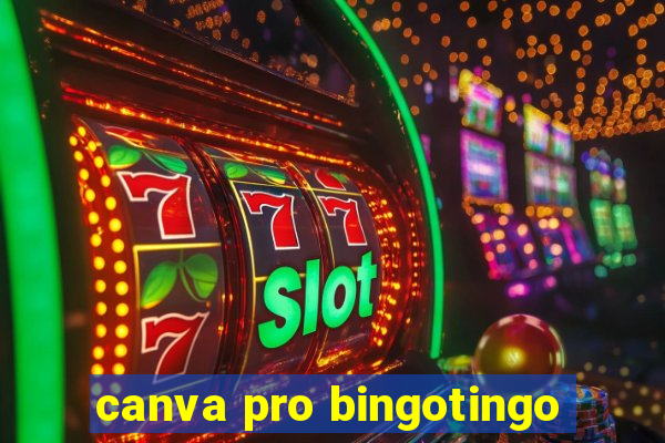 canva pro bingotingo