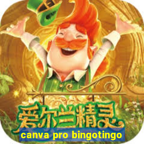 canva pro bingotingo