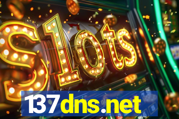 137dns.net
