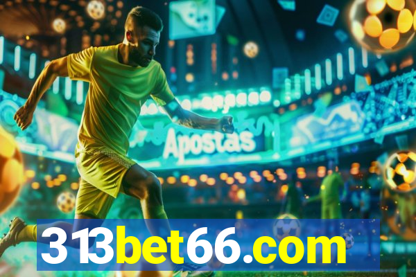 313bet66.com