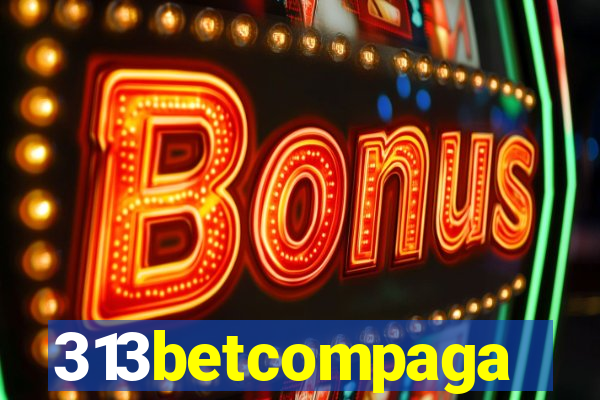 313betcompaga