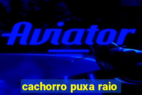 cachorro puxa raio