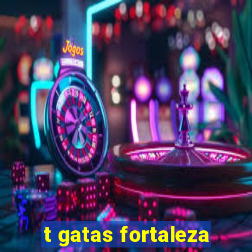 t gatas fortaleza