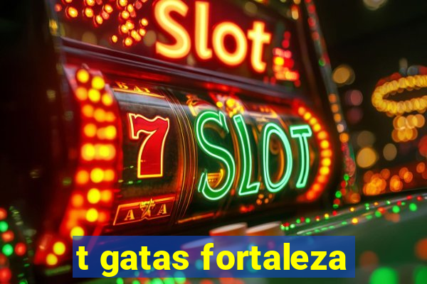 t gatas fortaleza