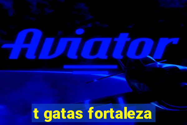 t gatas fortaleza