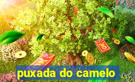 puxada do camelo