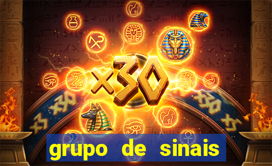 grupo de sinais trader telegram