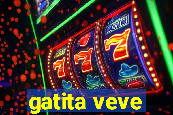 gatita veve